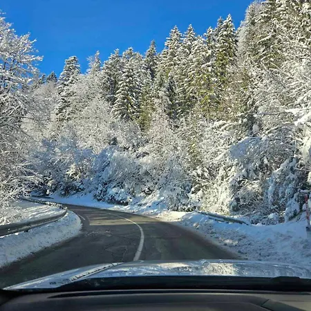 Apartma Rogla Gaber 63