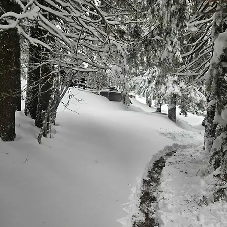 Apartma Rogla Gaber 63 * Zreče