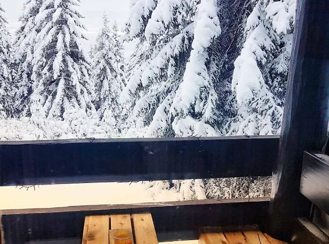 Appartement Apartma Rogla Gaber 63 Zreče