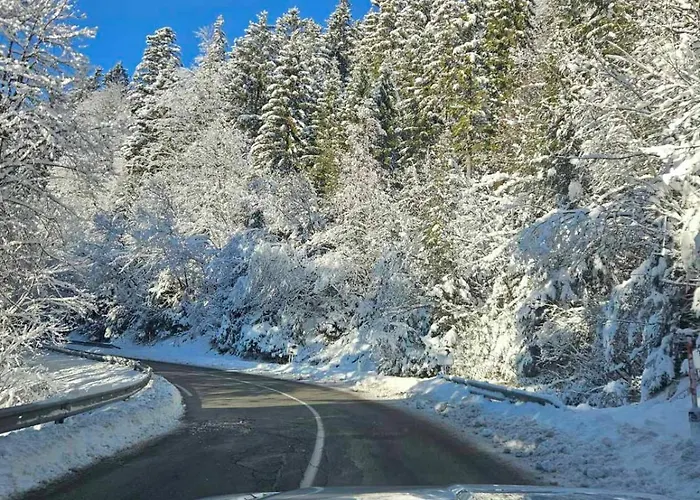 Apartma Rogla Gaber 63