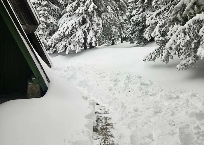 Apartma Rogla Gaber 63