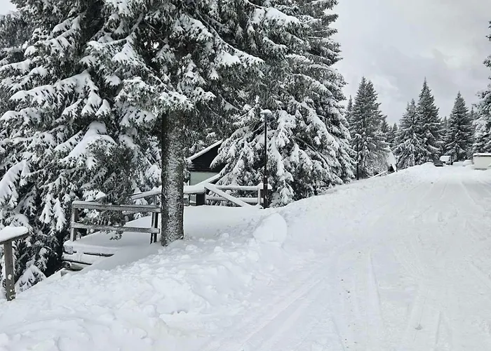 Apartma Rogla Gaber 63 Appartamento