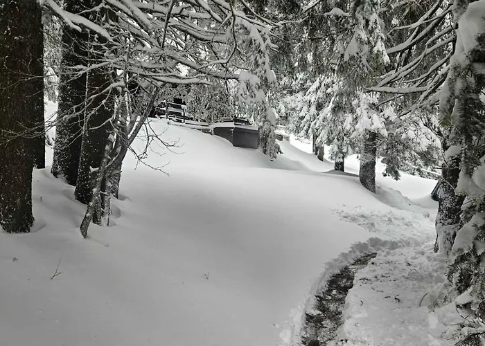 Apartma Rogla Gaber 63 * Zreče